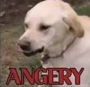 angery