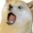 pupperYikes
