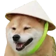ricedog