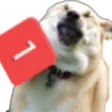pingBOYE pingBOYE
