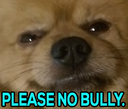 DogBully