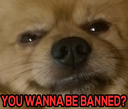 DogBanned