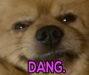 DogDang
