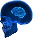 SmallBrain Discord emoji