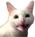 Smilecat smilecat Discord Emoji
