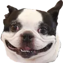lennu lennu