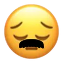 SWEpensive