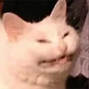 ech