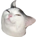 smugboy