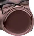 OMEGAKARIV
