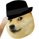 DogeHatTip