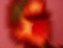 MaxNut MaxNut
