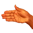 boi1