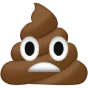 shite shite