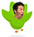 duoPog duoPog