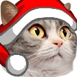Santajellie
