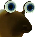 pikWut