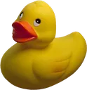ducky
