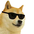 cooldoggo cooldoggo