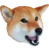 DogChamp