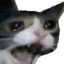 Yamero