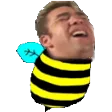 bachiBASM