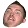 CrreamAwk