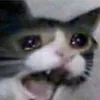 AAA