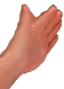 palmreverse palmreverse