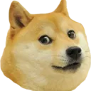 Doge Discord Emoji