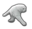 cate2