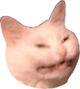 disgustcatto Discord emoji