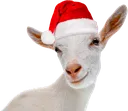 xmasgoat