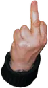 Finger