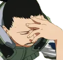 Shikafacepalm