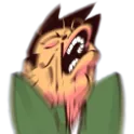 nutt nutt