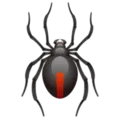 spider