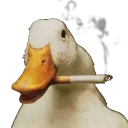smokingduck