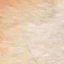 bamboozled_4_1