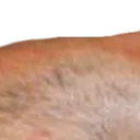bamboozled_2_3