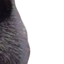 bamboozled_3_7