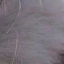bamboozled_7_7