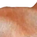 bamboozled_2_4