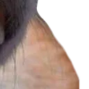 bamboozled_4_7