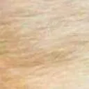 bamboozled_6_1