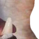 bamboozled_5_7