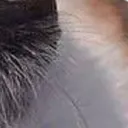 bamboozled_6_7