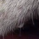 bamboozled_4_5