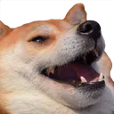 bamboozled