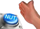 nut